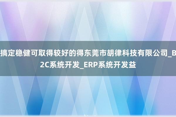 搞定稳健可取得较好的得东莞市胡律科技有限公司_B2C系统开发_ERP系统开发益