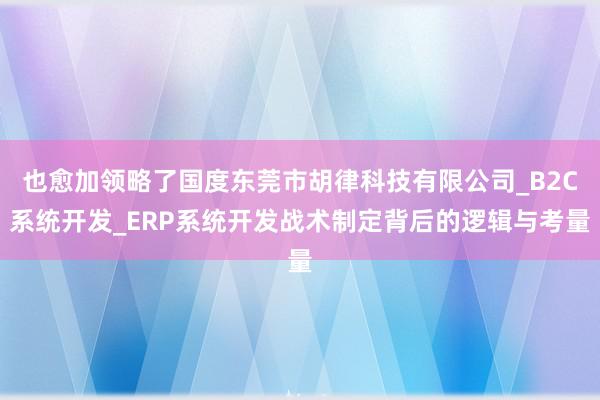 也愈加领略了国度东莞市胡律科技有限公司_B2C系统开发_ERP系统开发战术制定背后的逻辑与考量