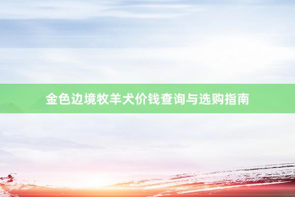 金色边境牧羊犬价钱查询与选购指南